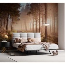 Grown Gün Doğumu Orman Patikası Duvar Kağıdı