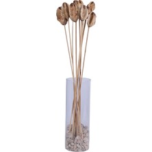 Yapay Çiçek Sitesi Ithal Kuru Çiçek 10LU Mehogony On Stem