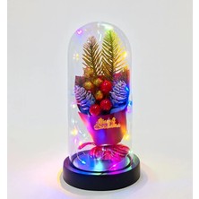 Hayat Store Yılbaşı Temalı Işıklı  Dekoratif Cam Fanus ALK5081 - Lisinya