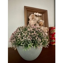 FB Cup Premium Yapay Grevillea Çiçeği Antrasit Saksılı Premium Ev Ofis Dekorasyonu 🌸