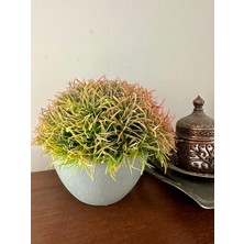 FB Cup Premium Yapay Saksılı Çim Bitki - Dekoratif Ev Ofis Aksesuarı 13X16 cm ✨