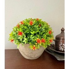 FB Cup Premium Yapay Çiçek Saksılı Portakal Detaylı Ev Ofis Dekorasyonu 🪴