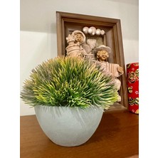 FB Cup Yapay Scleranthus (Minder Çiçeği) Kızıl Yeşil Antrasit Saksılı Premium Dekor 🌿