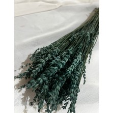 Ziva Dekor Yeşil Şoklanmış Lavanta 50 Gram