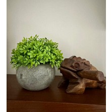 FB Cup Yapay Şimşir (Boxwood) Çiçeği Antrasit Modern Saksılı Premium Ev Ofis Dekoru 🌿