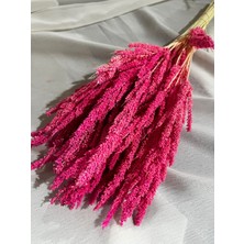 Ziva Dekor Pembe Bulgur Otu 40 Gram