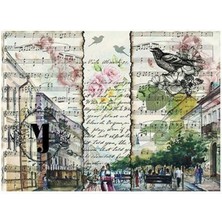 Cadence Pirinç Kağıdı Model 134