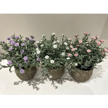 FB Cup 3’lü Dekoratif Yapay Çiçek Seti – Saksıda Mor, Beyaz, Pembe Aranjman