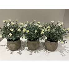 FB Cup Yaşam Alanlarınıza Doğal Bir Dokunuş: 3’lü Dekoratif Saksılı Yapay Çiçek Seti