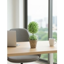 FB Cup Dekoratif Saksılı Yapay Şimşir - 24 cm - Bakım Gerektirmeyen Taze & Yeşil Ev Ofis Dekoru