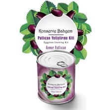 BT Teknik Konserve Bahçem Evde Konservede  Kemer Patlıcanyetiştirme Kiti