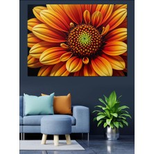 Turuncu Gerbera Çiçek Yakın Dekoratif Kanvas - Mdf Ahşap Tablo