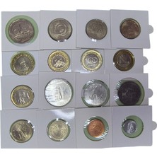 Koleksiyon ve Fao Çil