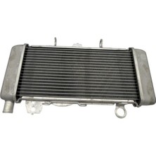 Honda Cb 250 R Radyatör Komple