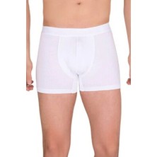 Çamaşır Kenti Berrak Erkek  Modal Boxer  4476