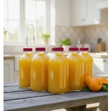 JUNİBELİW 10 Adet 100ML Cam Şişe Pembe Plastik Kapaklı Çok Amaçlı Shot Şişesi Meyve Suyu Shot Şişesi 10X100ML