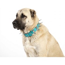 Kozaklı U Çivili Köpek Tasması Boy 70X4 cm