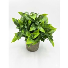 FB Cup Dekoratif Eskitme Gri Saksıda Gerçekçi Yapay Yeşil Bitki - Modern Masa ve Raf Çiçeği (24X18 Cm)