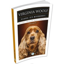 Virtustore Flush: Bir Biyografi