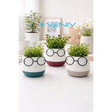 Veniv Home Veniv  3 Adet Dekoratif Profesör Gözlüklü Bitkiler Dahil Saksı 8x8 cm