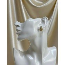 Xuping Jewelry 316L  Çelik Küpe