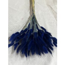 Ziva Dekor Lacivert Lagurus (Pamuk Otu)