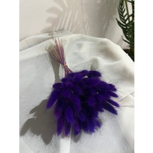 Ziva Dekor Lila- Mor  Lagurus (Pamuk Otu)