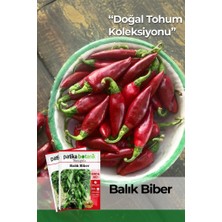 Patika Botanik 100 Adet Balık Biber Tohumu