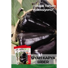 Patika Botanik 20 Adet Siyah Kapya Biber Tohumu