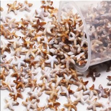 Yiğit Aksesuar 20 Adet Kahve Krem Kolye Bileklik Aksesuarı Havlit Deniz Yıldızı Boncuk