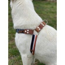 Balkonda Köpek Göğüs Tasması Küçük, Orta ve Büyük Irk Ayarlamalı Kot & Kordon Mavi