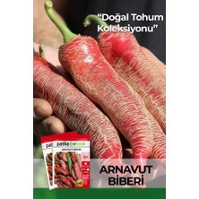 Patika Botanik 20 Adet Arnavut Biberi Tohumu