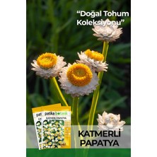 Patika Botanik 30 Adet Katmerli Papatya Çiçek Tohumu