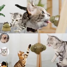 Eco Lounge Kedi Nanesi Oyun Topu