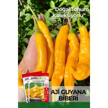 Patika Botanik 20 Adet Aji Guyana Biber Tohumu