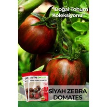 Patika Botanik 20 Adet Siyah Zebra Domates Tohumu