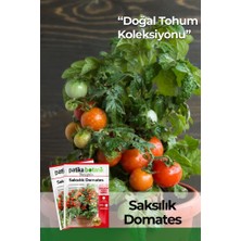 Patika Botanik 100 Adet Saksılık Domates Tohumu