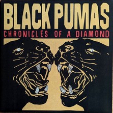 Değer Black Pumas Chronicles Of A Diamond Plak (Şeffaf Plak)