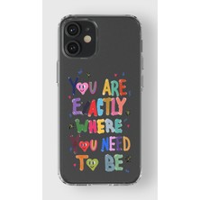 Manitoba Iphone 12 Mini Uyumlu Baskılı Yumuşak Silikon Şeffaf Telefon Kılıfı