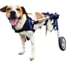 Walkinwheels Ayarlanabilir 2 Tekerlekli Köpek Sandalyesi-Engelli Köpekler Için Ayak Rehabilitasyonu Evcil Hayvan Tekerlekli Sandalye