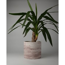 Dekoratif Beton Saksı- Büyük Boy - Tek Renk / Mermer Deseni Görünümlü - Silindir 4.5l - 20X18CM