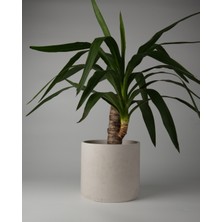 Dekoratif Beton Saksı- Büyük Boy - Tek Renk / Mermer Deseni Görünümlü - Silindir 4.5l - 20X18CM