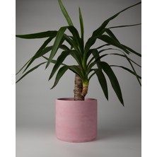 Dekoratif Beton Saksı- Büyük Boy - Tek Renk / Mermer Deseni Görünümlü - Silindir 4.5l - 20X18CM