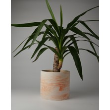Dekoratif Beton Saksı- Büyük Boy - Tek Renk / Mermer Deseni Görünümlü - Silindir 4.5l - 20X18CM