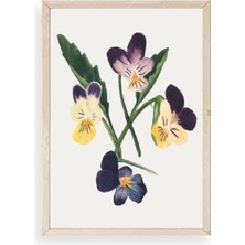 Durukar Çiçekler Ahşap Çerçeveli Tablo 30 x 42