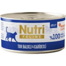 Nutri Feline Tahılsız Ton Balıklı Karidesli Yetişkin Kedi Konservesi 70 gr