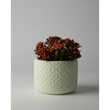 Dekoratif Küçük Beton Saksı – Ayaklı / Ayaksız – Sukulent & Mini Kaktüs Saksısı – Renk ve Desen Seçenekli