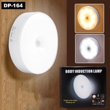 Aykn Sensörlü Tekli Lamba (485O0)