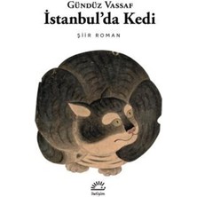 Istanbul'da Kedi - Şiir Roman