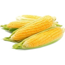 Taber Haşlamalık Mısır Tohumu (25 Gram)